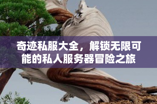 解锁无限可能的私人服务器冒险之旅图片