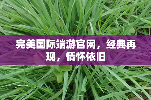 完美国际端游官网图片