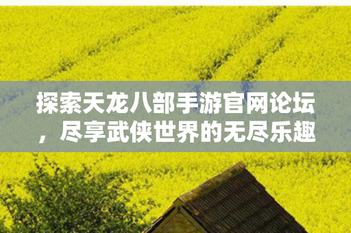 探索天龙八部手游官网论坛图片