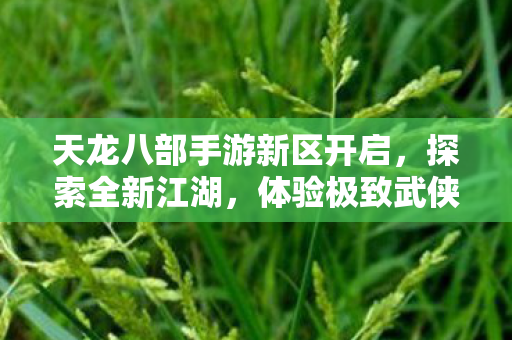天龙八部手游新区开启图片