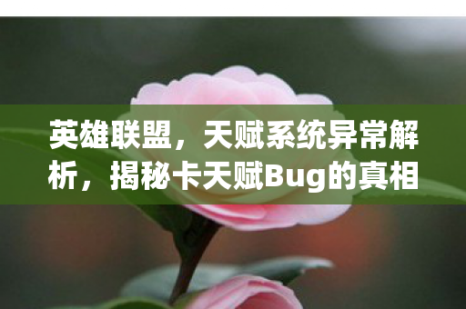 揭秘卡天赋Bug的真相与影响图片