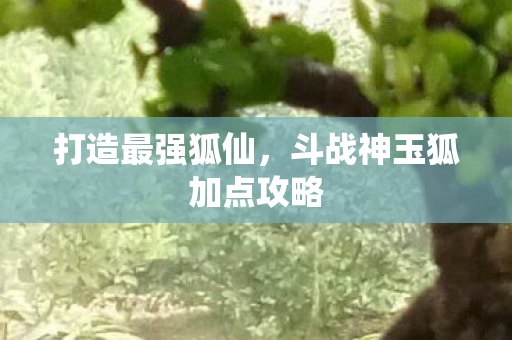 斗战神玉狐加点攻略图片