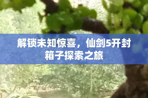 仙剑5开封箱子探索之旅图片