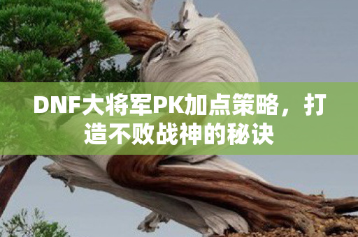 DNF大将军PK加点策略图片