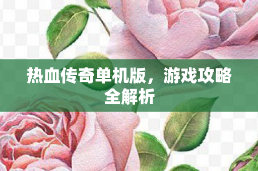 热血传奇单机版图片