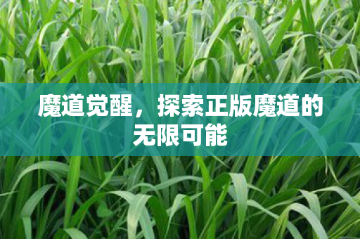 探索正版魔道的无限可能图片