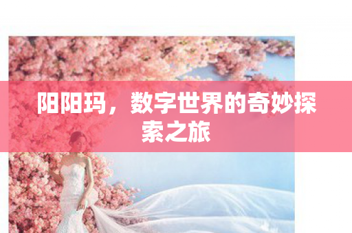 数字世界的奇妙探索之旅图片