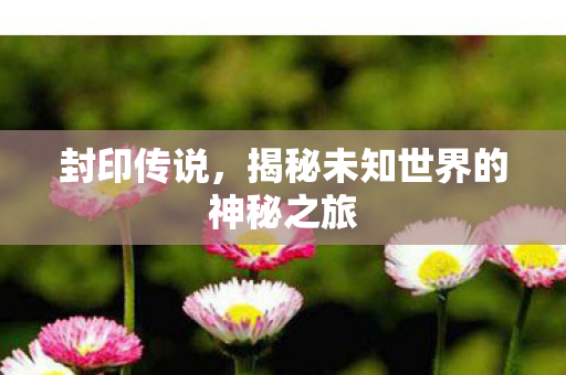 揭秘未知世界的神秘之旅图片