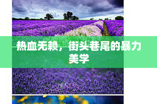 街头巷尾的暴力美学图片