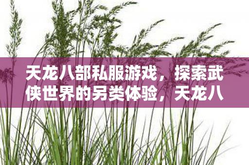 天龙八部私服游戏,探索武侠世界的另类体验,天龙八部私服,探索武侠世界的另类体验 天龙八部私服游戏,探索武侠世界的另类体验,天龙八部私服,探索武侠世界的另类体验