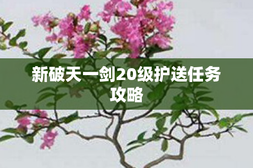 新破天一剑20级护送任务攻略