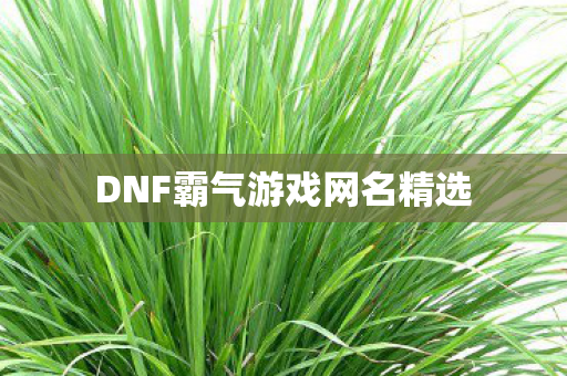 DNF霸气游戏网名精选图片