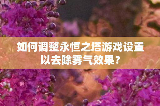 如何调整永恒之塔游戏设置以去除雾气效果图片