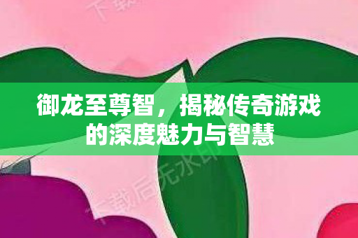 揭秘传奇游戏的深度魅力与智慧图片