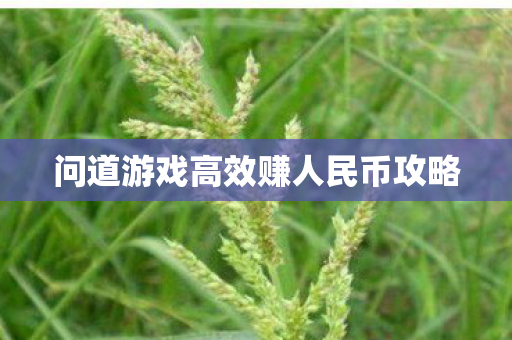 问道游戏高效赚人民币攻略图片