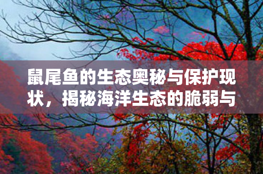揭秘海洋生态的脆弱与保护挑战图片