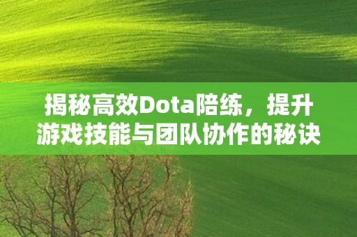 提升游戏技能与团队协作的秘诀图片