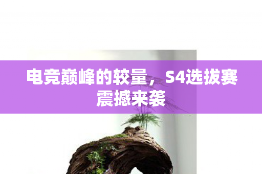 S4选拔赛震撼来袭图片