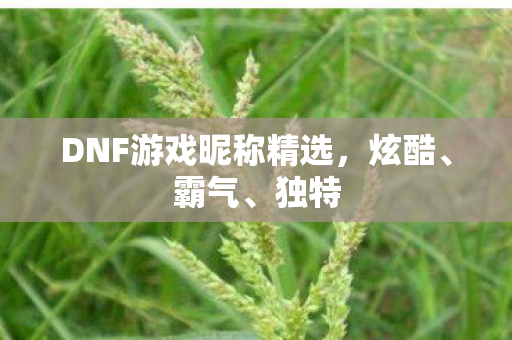 DNF游戏昵称精选图片