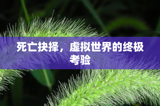 死亡抉择,虚拟世界的终极考验 死亡抉择,虚拟世界的终极考验