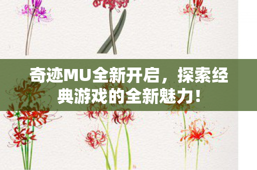 探索经典游戏的全新魅力图片