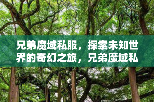 探索未知世界的奇幻之旅图片