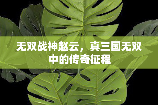 真三国无双中的传奇征程图片