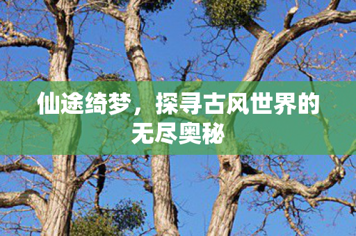 探寻古风世界的无尽奥秘图片