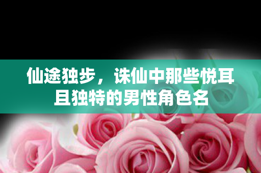 诛仙中那些悦耳且独特的男性角色名图片
