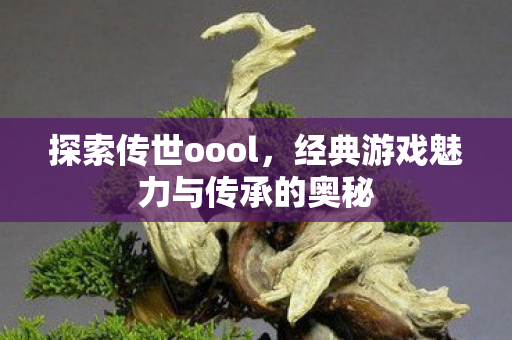 经典游戏魅力与传承的奥秘图片