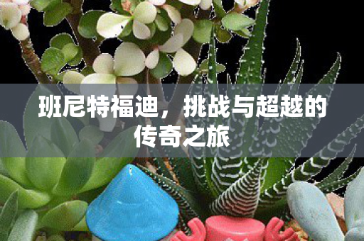 挑战与超越的传奇之旅图片