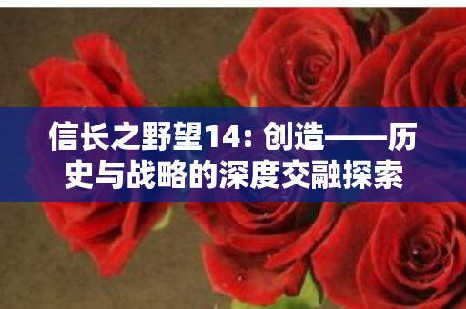 历史与战略的深度交融探索图片