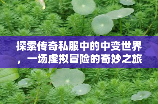 探索传奇私服中的中变世界，一场虚拟冒险的奇妙之旅，中变世界，探索传奇私服中的虚拟冒险之旅