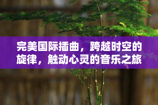触动心灵的音乐之旅图片