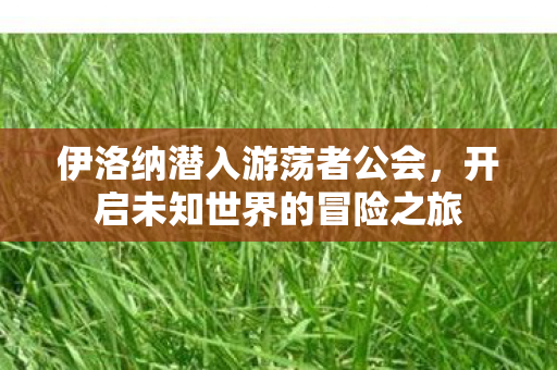 开启未知世界的冒险之旅图片