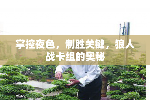 狼人战卡组的奥秘图片