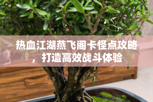 热血江湖燕飞阁卡怪点攻略图片