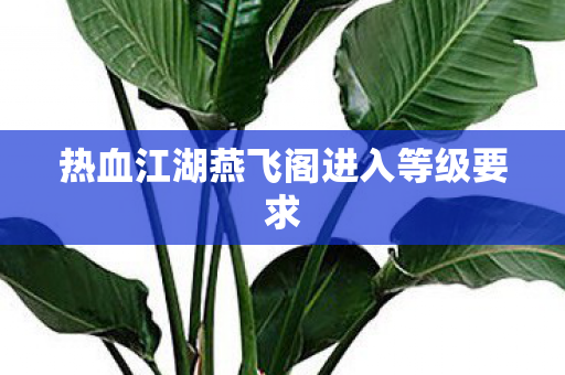 热血江湖燕飞阁进入等级要求图片