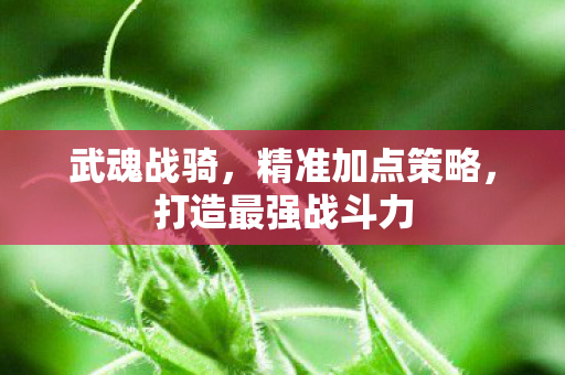 打造最强战斗力图片