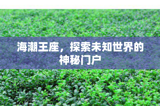 探索未知世界的神秘门户图片