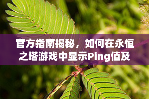 如何在永恒之塔游戏中显示Ping值及实用技巧图片
