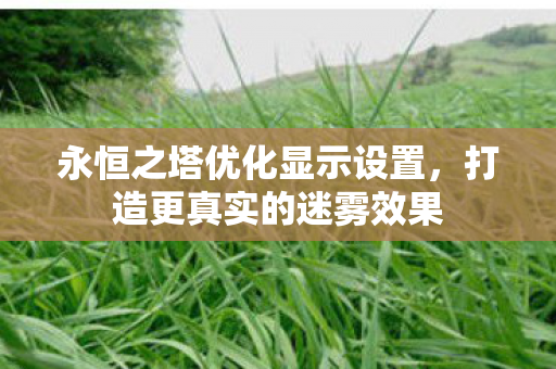 永恒之塔优化显示设置图片