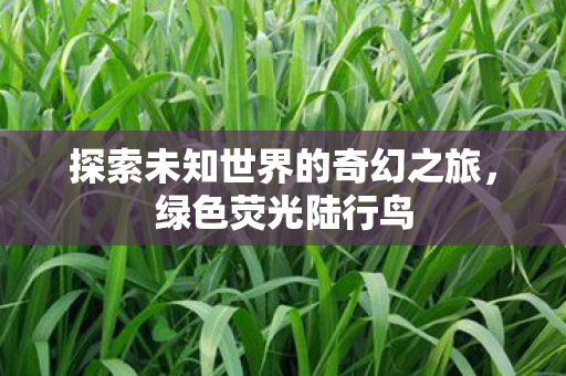 探索未知世界的奇幻之旅图片