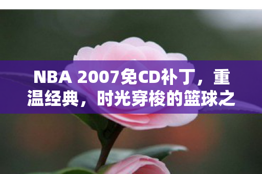 NBA 2007免CD补丁图片