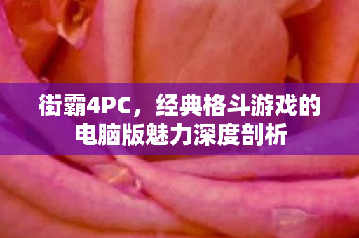 街霸4PC,经典格斗游戏的电脑版魅力深度剖析 街霸4PC,经典格斗游戏的电脑版魅力深度剖析