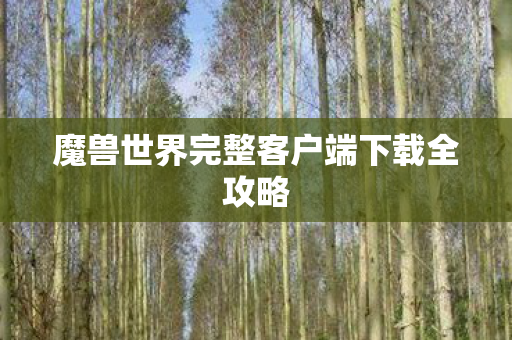 魔兽世界完整客户端下载全攻略图片