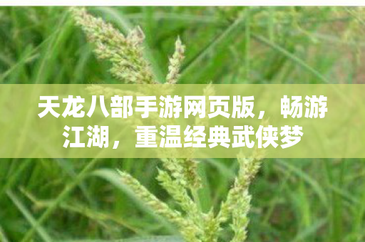 天龙八部手游网页版图片