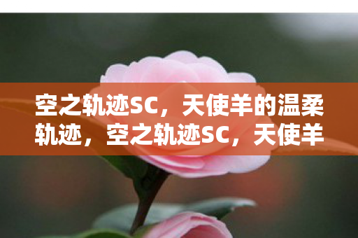空之轨迹SC,天使羊的温柔轨迹,空之轨迹SC,天使羊的温柔轨迹 空之轨迹SC,天使羊的温柔轨迹,空之轨迹SC,天使羊的温柔轨迹