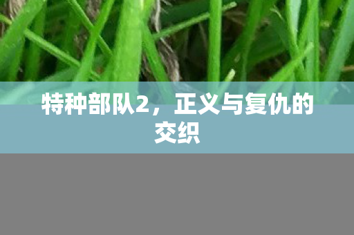 正义与复仇的交织图片