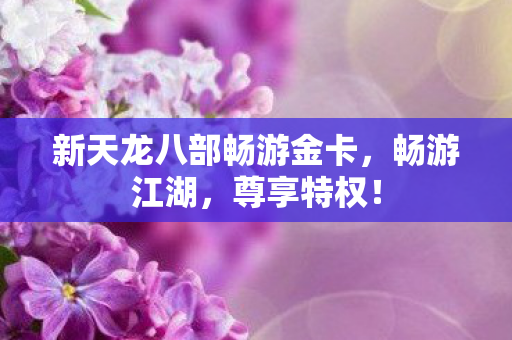 新天龙八部畅游金卡图片